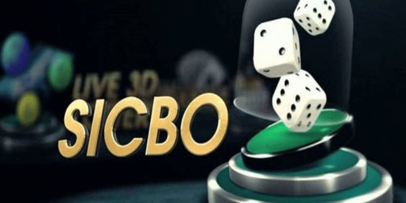 Sic Bo Tips for Beginners Understand the Different Types of Bets